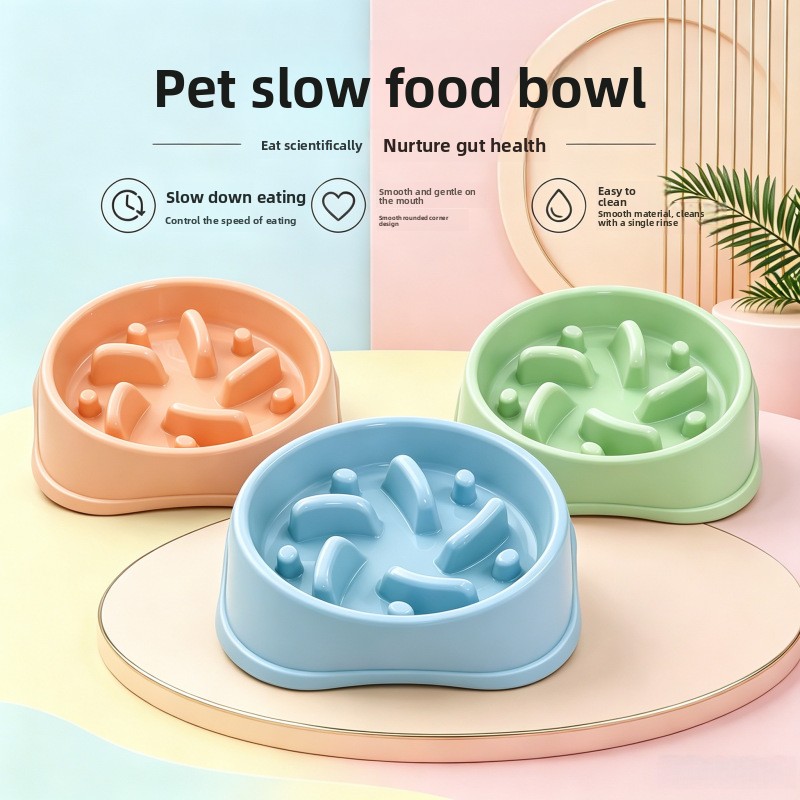 Royal Canin Food Medium - 1/3 Stück Rutschfester Slow-Feeder Hundenapf mit