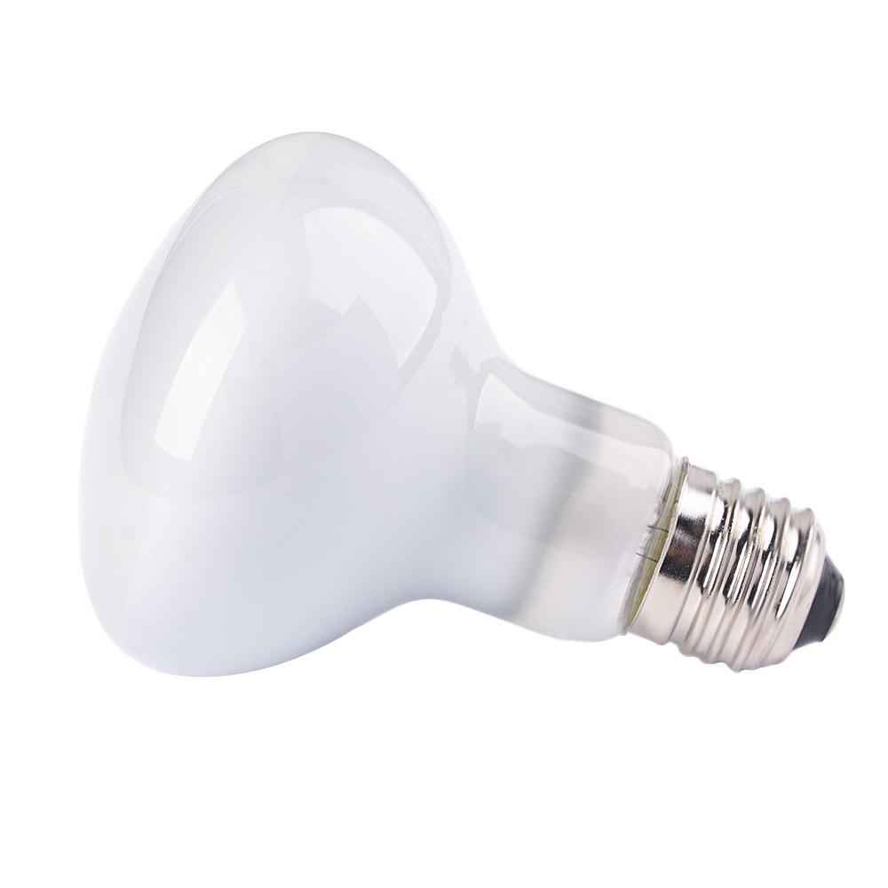 Basking Bulb Halogen - Amphibien-Temperaturregler Wärmelampe Halogenbirne UVA-Licht Sonnenlicht für