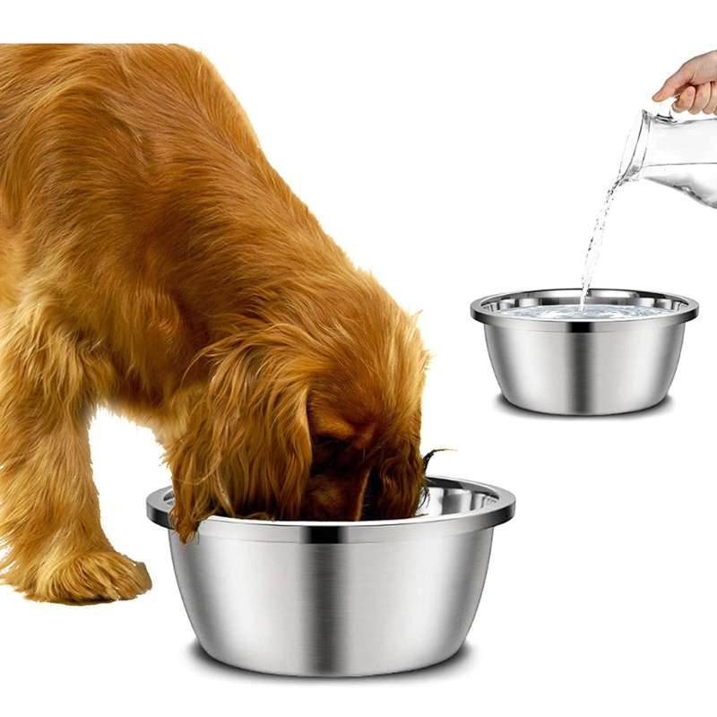 Royal Canin Food Medium - Hundefutterspender aus Edelstahl, 20 cm, 24