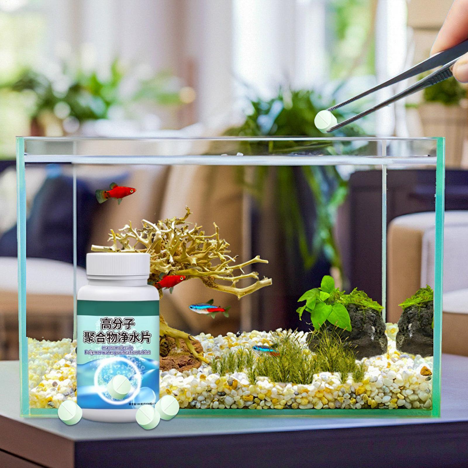 Fischfutter-Algenentferner, Aq – Water Dish Reptile Bewertung und Preis