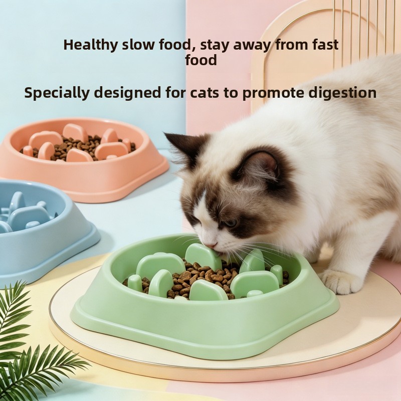 1/3 Stück Rutschfester Slow-Fe – Royal Canin Food Medium Bewertung und Preis
