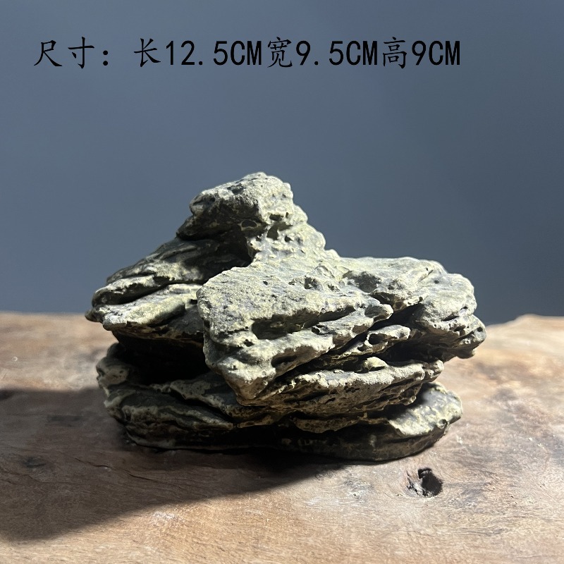 Schildkröten-Sonnenplattform a – Hide Cave Ceramic Bewertung und Preis