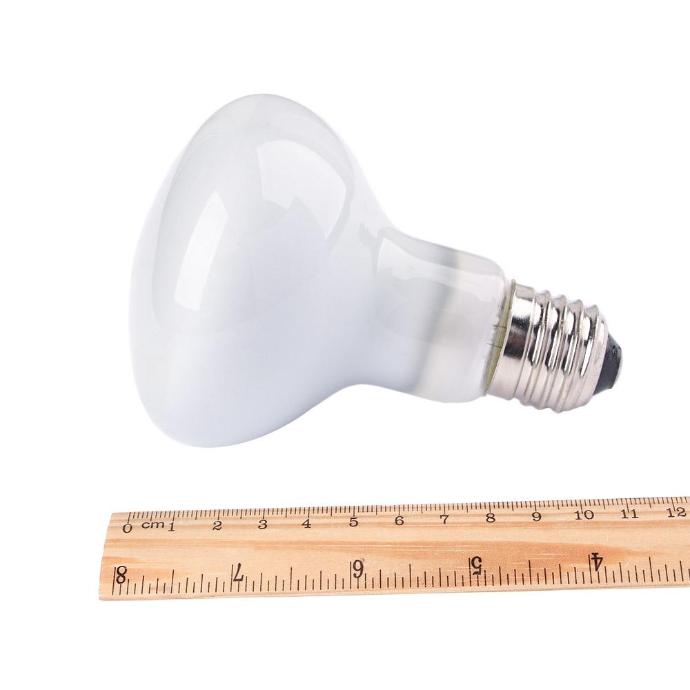 Eidechsen-Heizstrahler mit Tem – Basking Bulb Halogen Bewertung und Preis