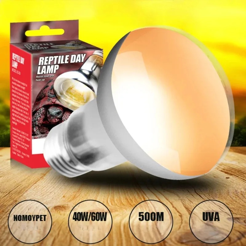 40W/60W Reptilien-Simulationsl – Calcium Powder Reptile Bewertung und Preis