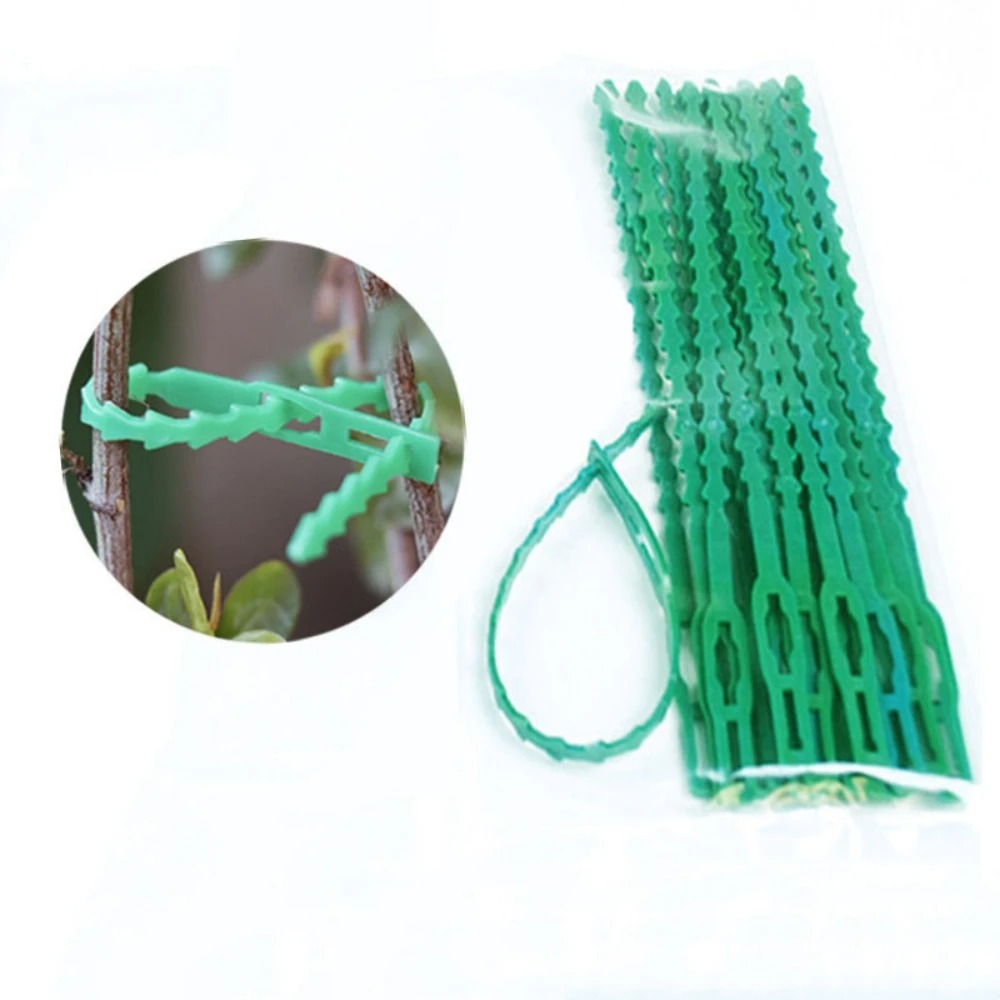 50 Stück Verstellbare Kunststo – Vine Climbing Plastic Bewertung und Preis
