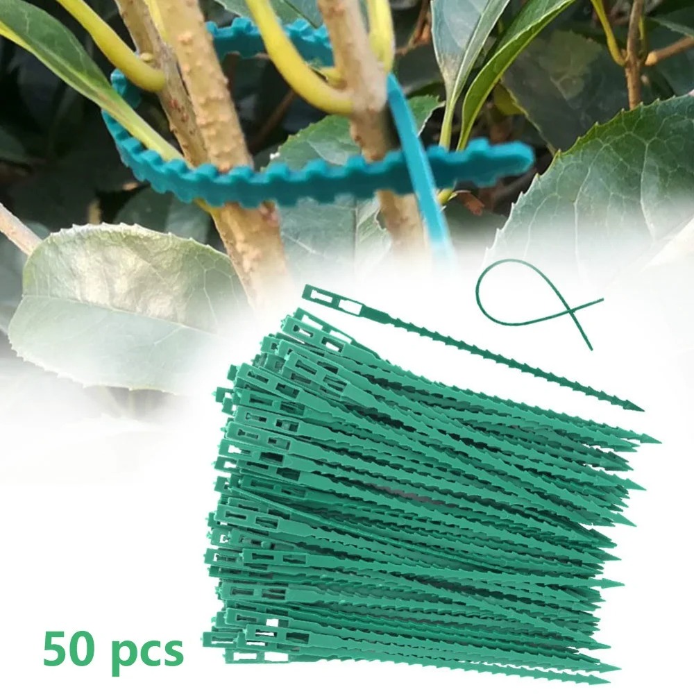 50 Stück Verstellbare Kunststo – Vine Climbing Plastic Bewertung und Preis