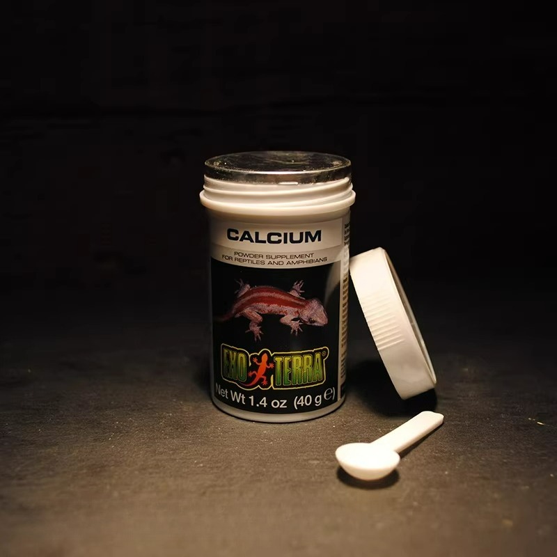 HAGEN Reptilien-Kalziumpulver  – Calcium Powder Reptile Bewertung und Preis
