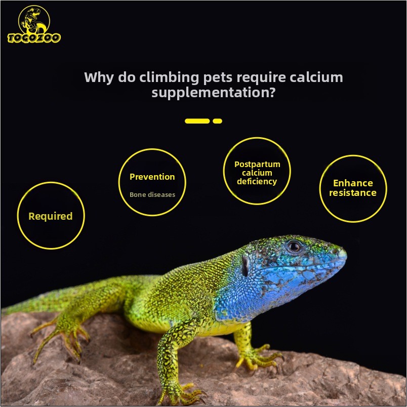 TOGOZOO WILDCAL Reptilien-Kalz – Calcium Powder Reptile Bewertung und Preis