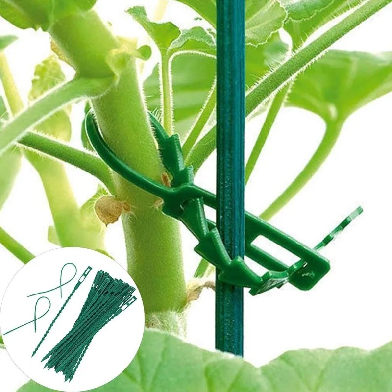 Wiederverwendbare Pflanzenbind – Vine Climbing Plastic Bewertung und Preis