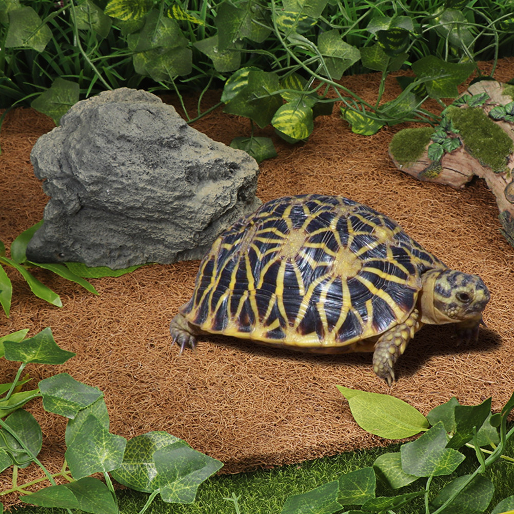 Kokossubstrat für Reptilien, N – Substrate Coconut Fiber Bewertung und Preis