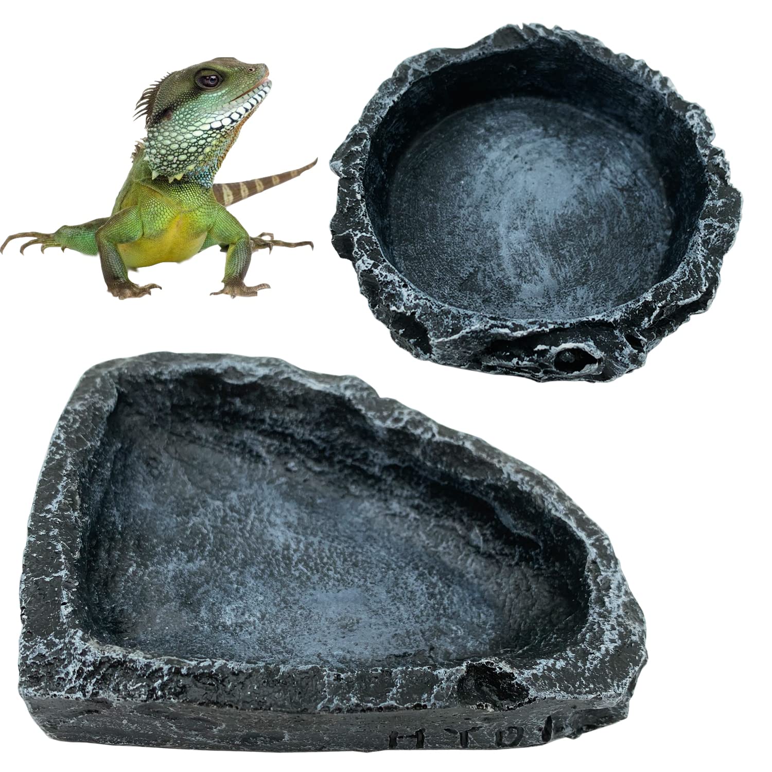 1/2er-Pack Reptilien-Futtersch – Water Dish Reptile Bewertung und Preis