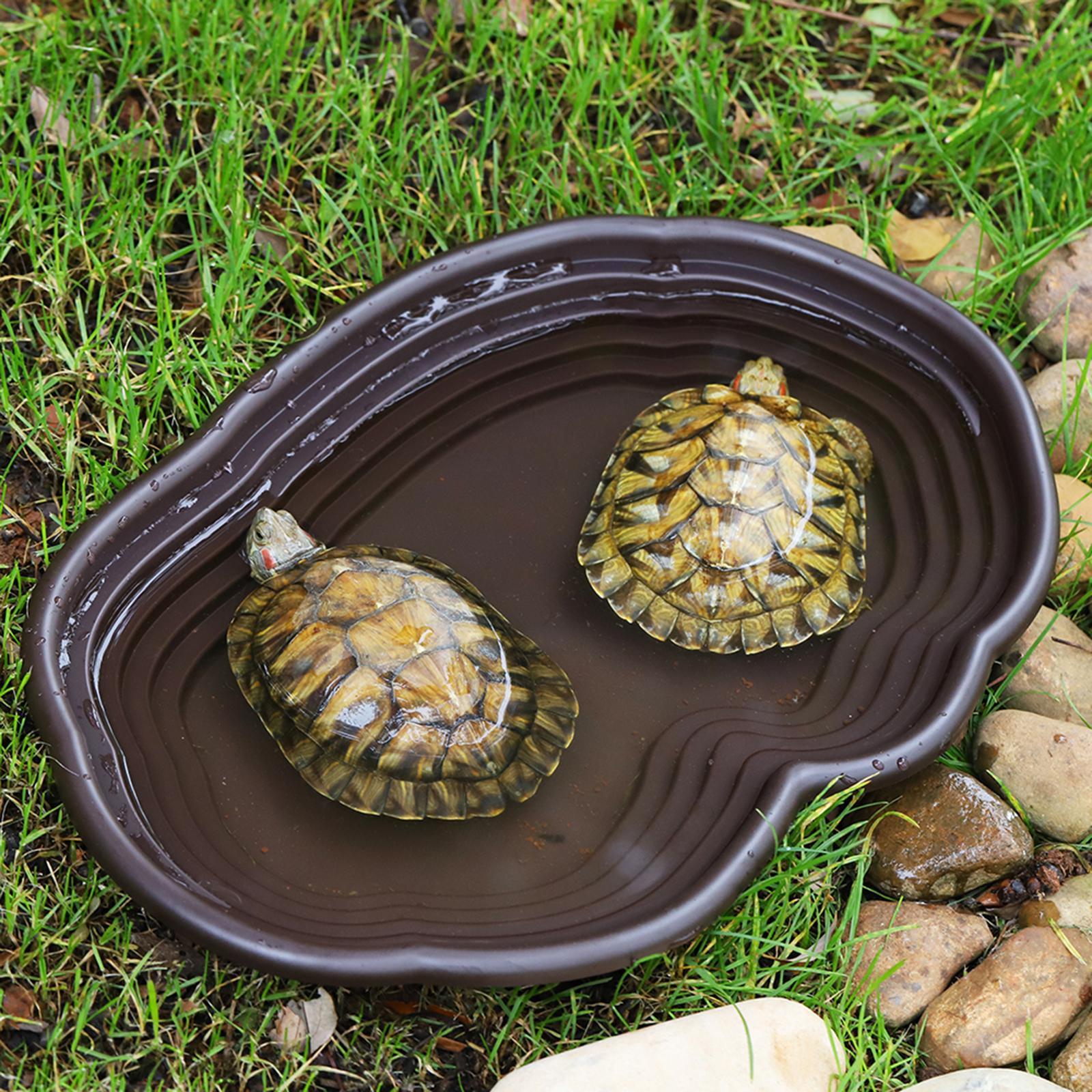Reptilien-Badeschale, Schildkr – Water Dish Reptile Bewertung und Preis