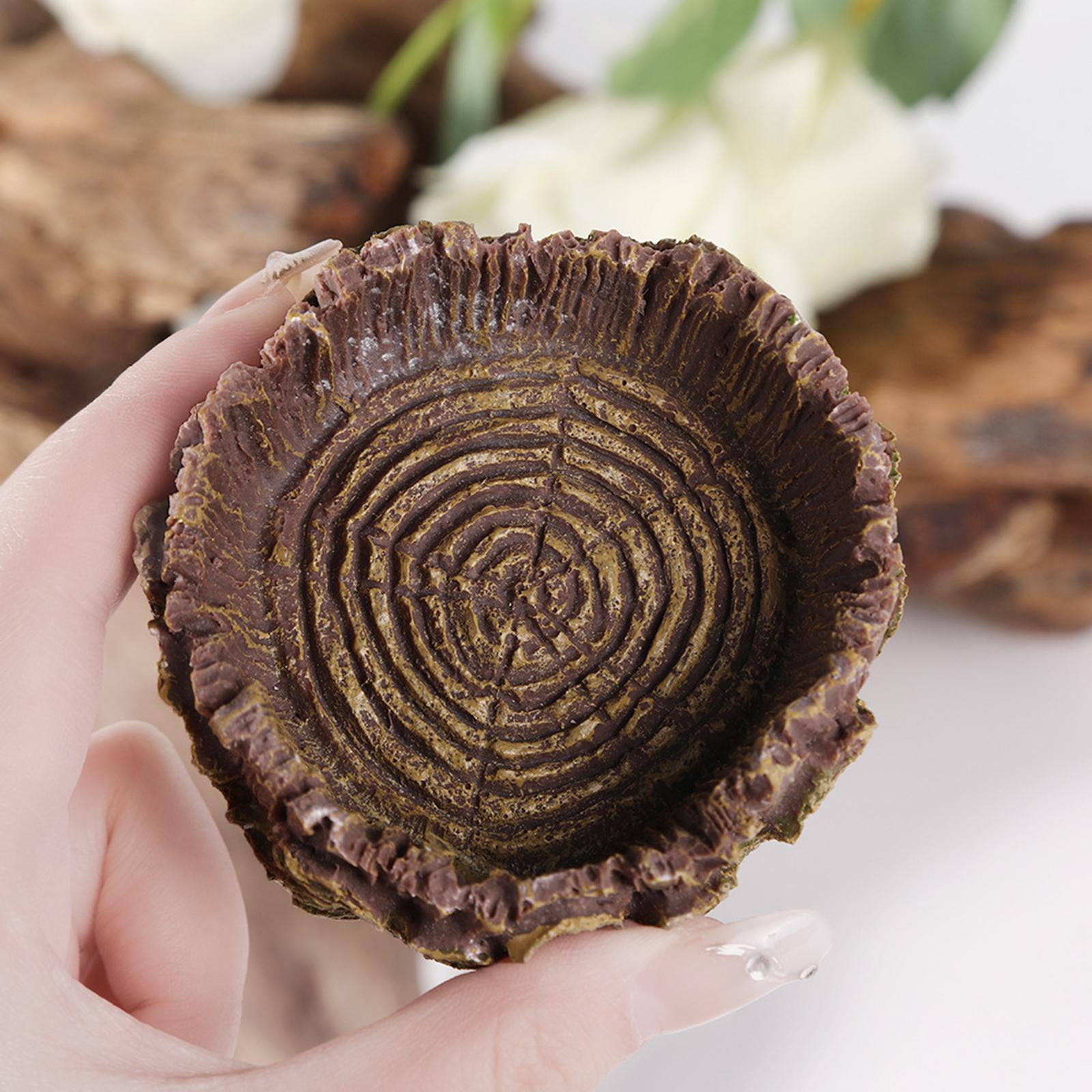 Reptilien-Badeschale, Schildkr – Water Dish Reptile Bewertung und Preis