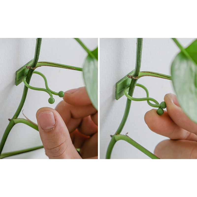 10 Stück Pflanzenwand-Befestig – Vine Climbing Plastic Bewertung und Preis