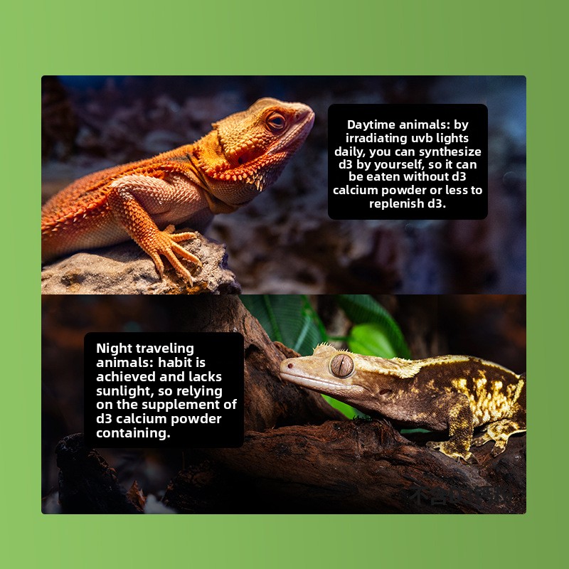 Reptizoo Reptilien-Kalziumpulv – Calcium Powder Reptile Bewertung und Preis