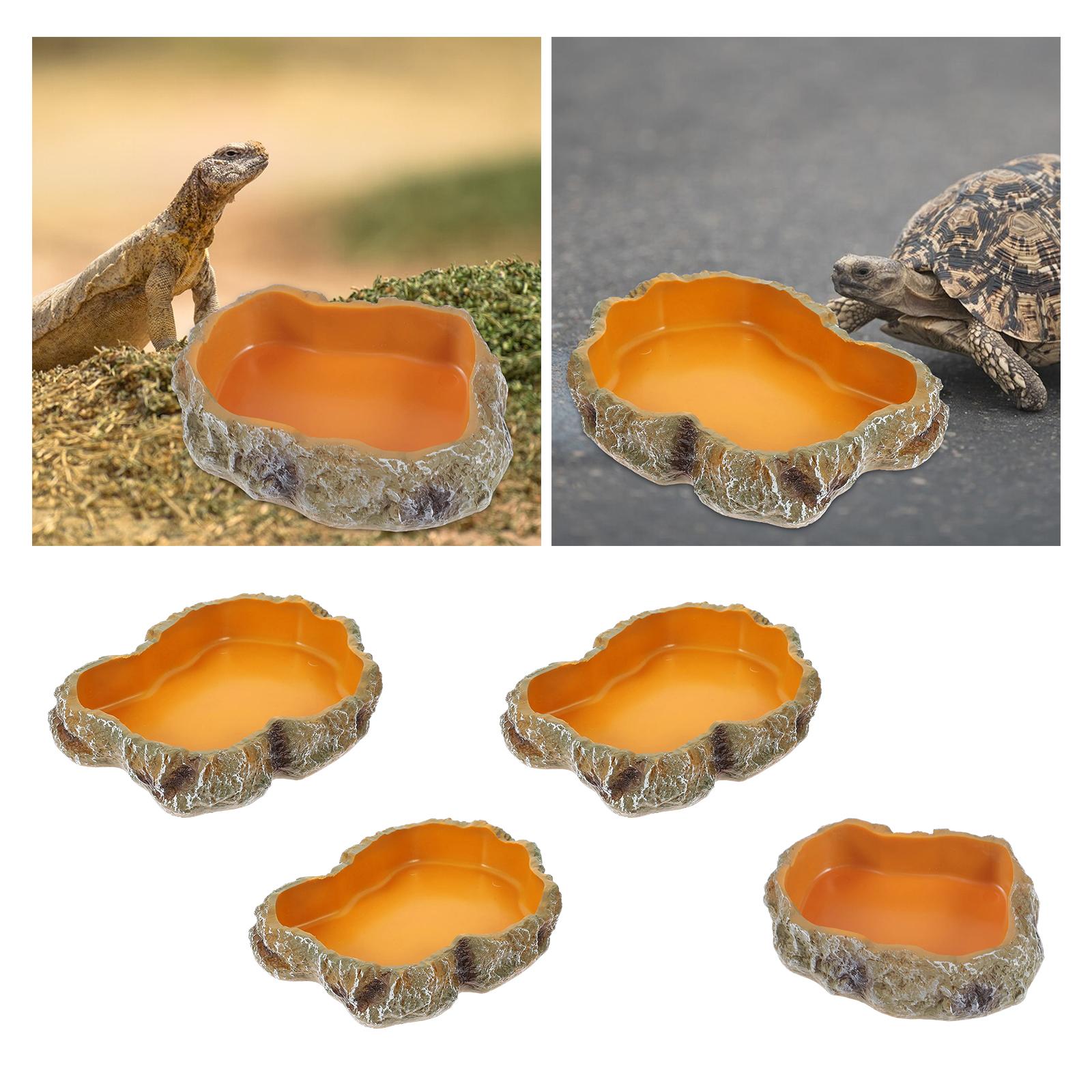 Reptilien-Wasserschalen, dekor – Water Dish Reptile Bewertung und Preis