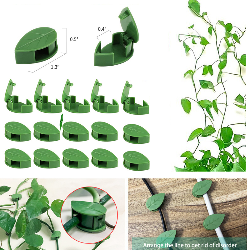 Unsichtbare Pflanzen-Kletterwa – Vine Climbing Plastic Bewertung und Preis