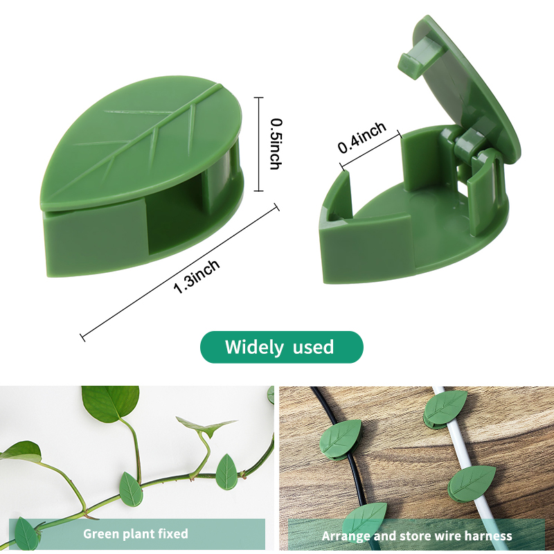 Unsichtbare Pflanzen-Kletterwa – Vine Climbing Plastic Bewertung und Preis