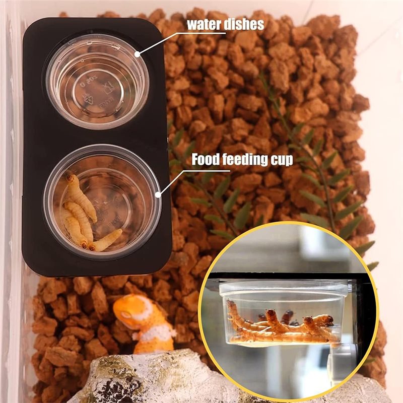 Futter- und Wassernäpfe für Kr – Water Dish Reptile Bewertung und Preis