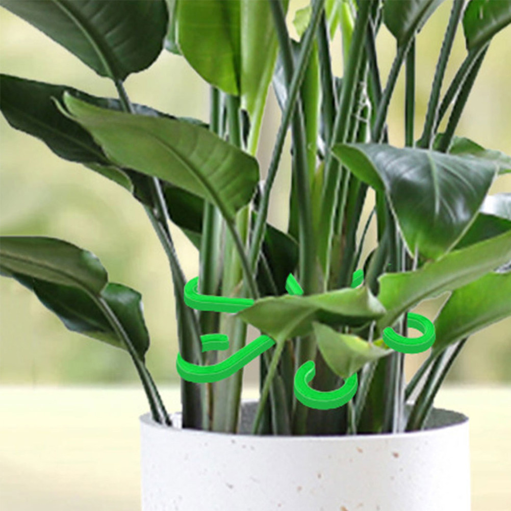 12 Stück Pflanzenstützclips fü – Vine Climbing Plastic Bewertung und Preis
