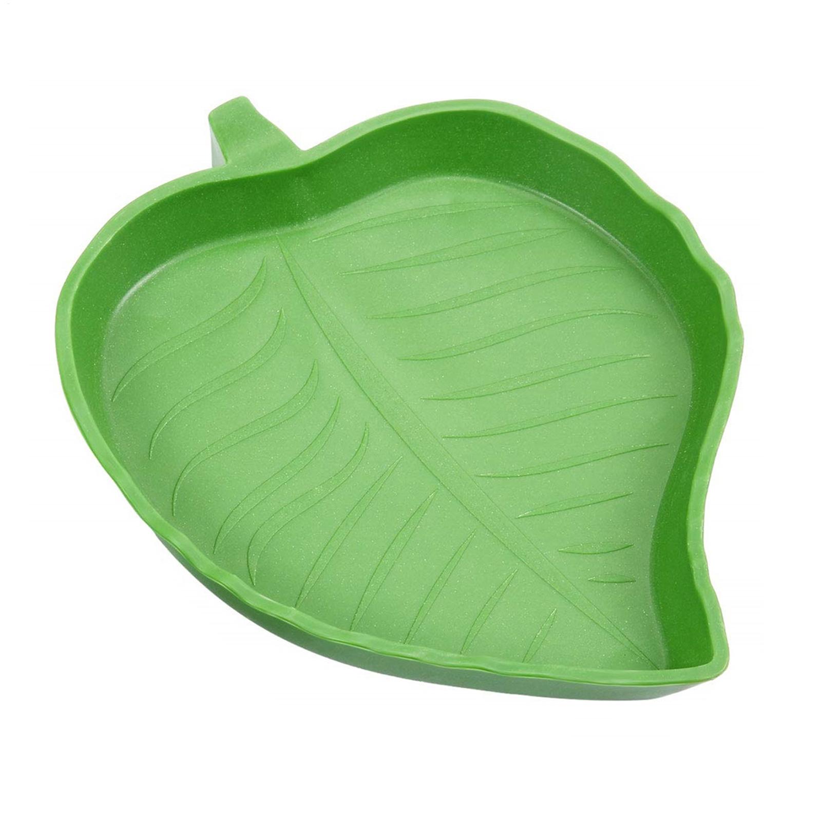 Reptilien-Futter- und Wassersc – Water Dish Reptile Bewertung und Preis